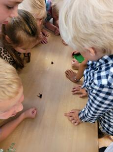 voorlichting aan kinderen Immanuelschool