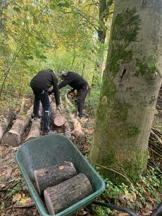 afbeelding klusdag in bijennatuurtuin